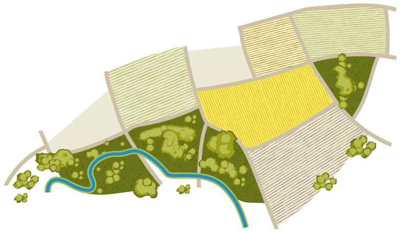 Gif illustration showing global agricultural land use shrinking by 75 percent with a transition to a plant-based diet, based on owid projections