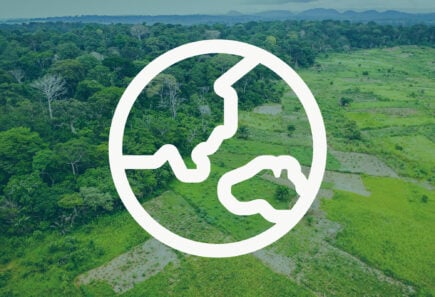 Globe icon over biodiverse landscape