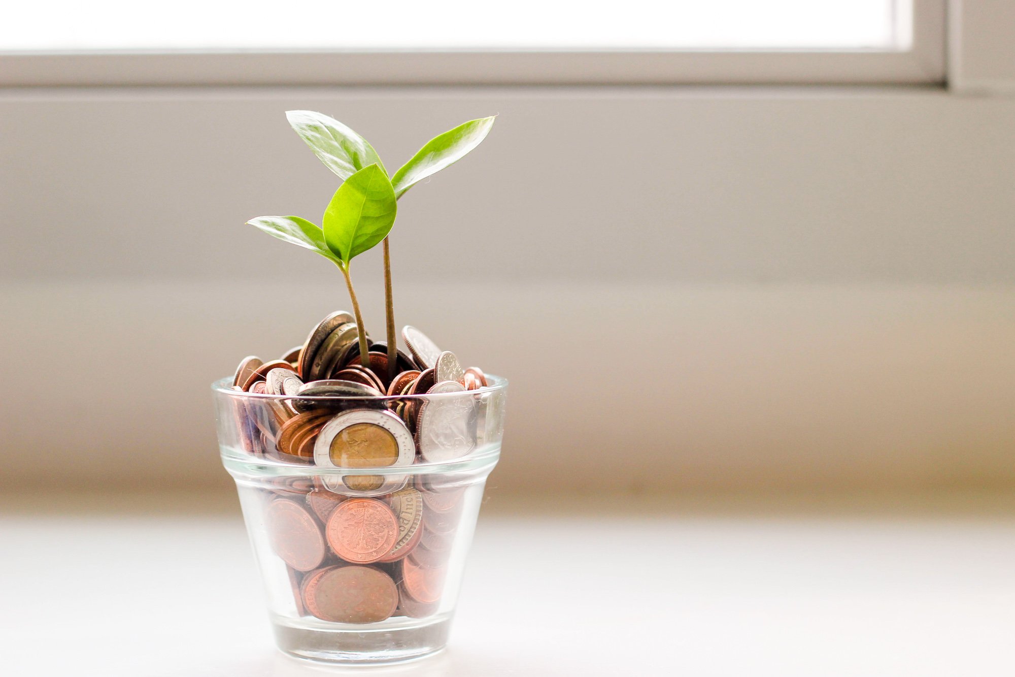 A small glass on a windowsill filled with coins and a sprouting plant