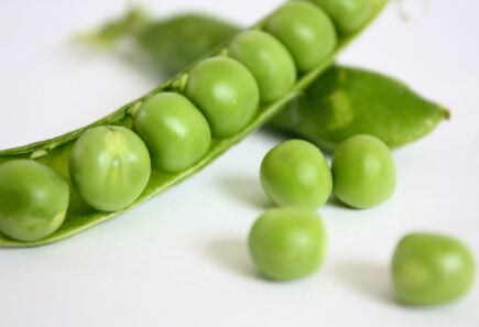 Peas in a pod, representing pea protein for plant-based meat production concept