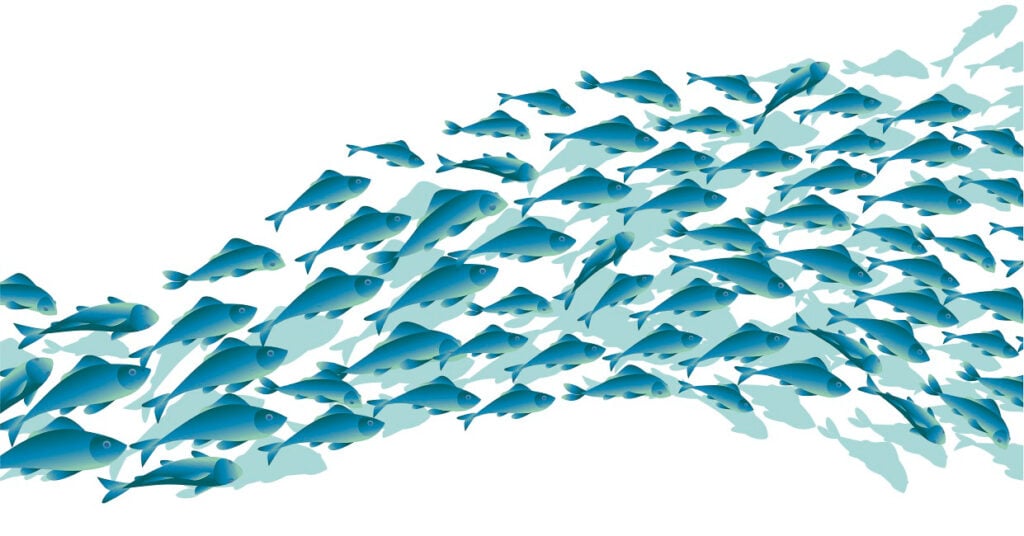 Blue school of fish graphic, representing benefits of cultivated seafood