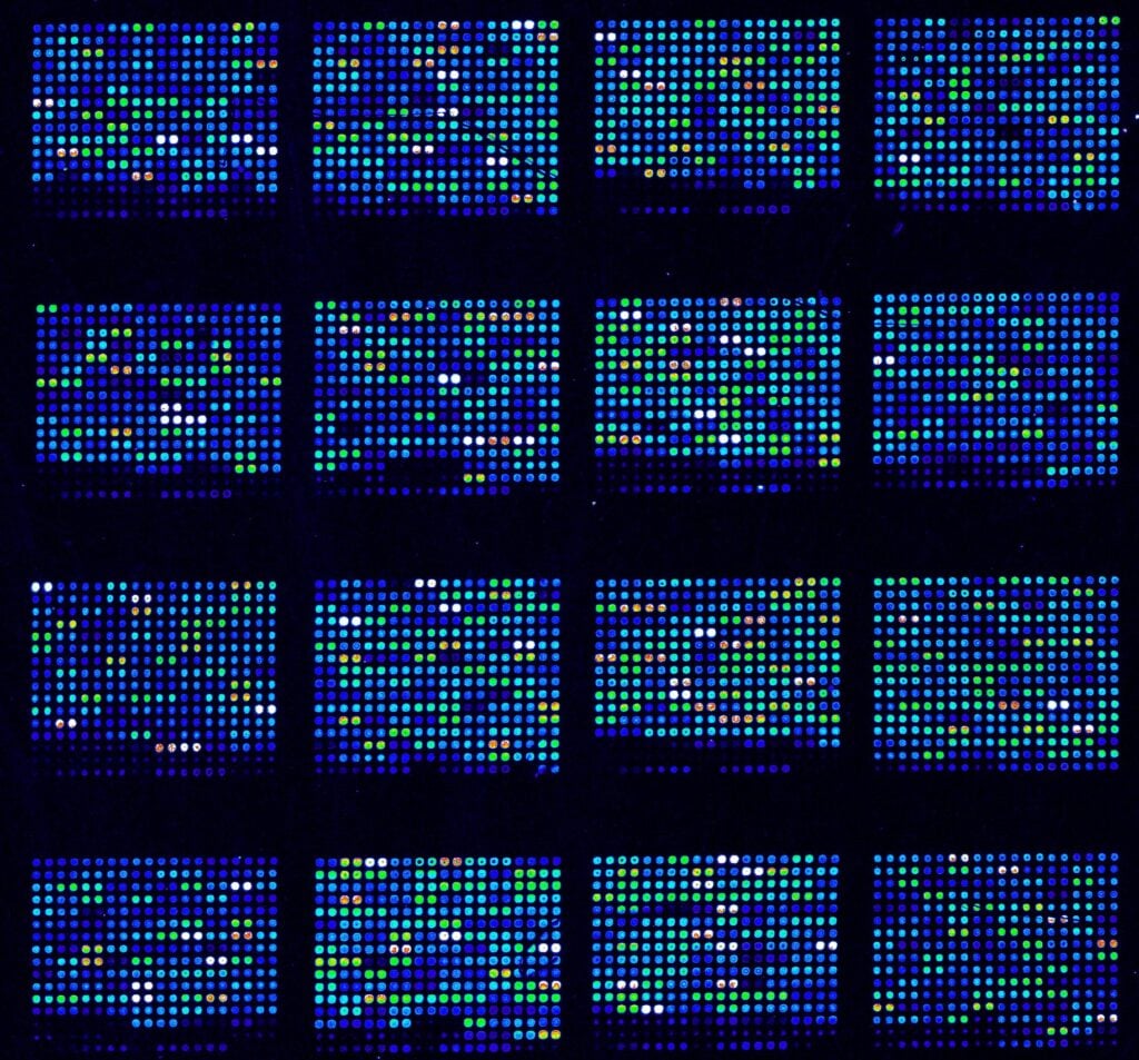 Dna microarray used in biological research