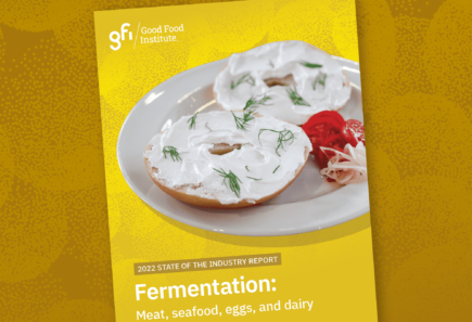 An image of the 2022 state of the industry fermentation report cover