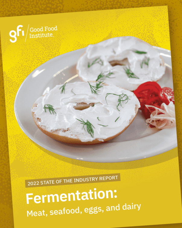 An image of the 2022 state of the industry fermentation report cover