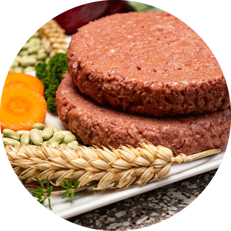 Plant based soy protein burger patties on a white plate next to wheat, legumes, carrots and beets