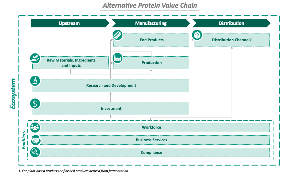 Diagram of the alternative protein value chain